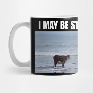 I May Be Stupid shirt | meme T-shirt, funny shirt, gag shirts Mug